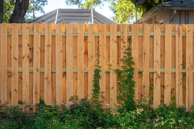 Timber fence screening a pool area