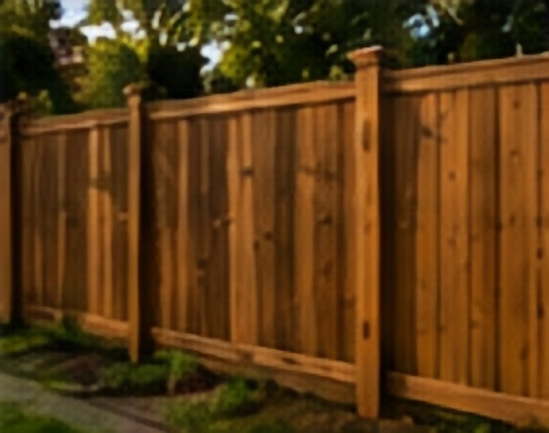 Wood Fence